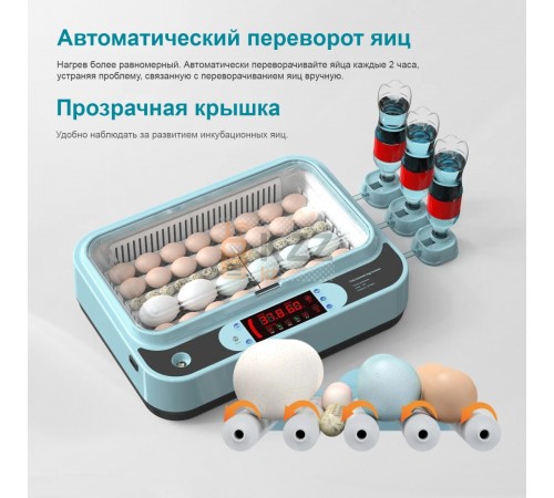 Инкубатор автоматический Tacosa WQN24 на 24 яйца