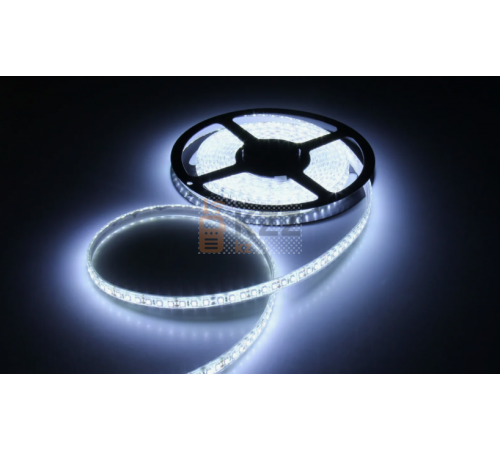 Led лента SMD 2835 (6000К холодный) 12Вт. 10м. 120d/m 24V