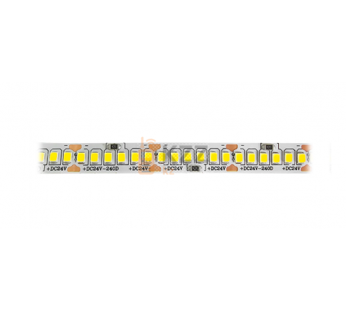 Led лента SMD 2835 (6000К холодный) 20Вт. 10м. 240d/m 24V
