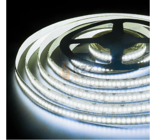 Led лента SMD 2835 (6000К холодный) 20Вт. 10м. 240d/m 24V