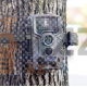 Фотоловушка HC-800A