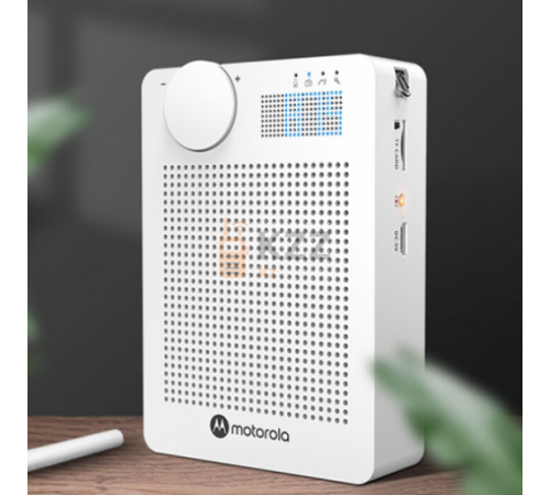 Беспроводная система громкоговоритель Motorola VA110 Беспроводная система громкоговоритель Motorola VA110