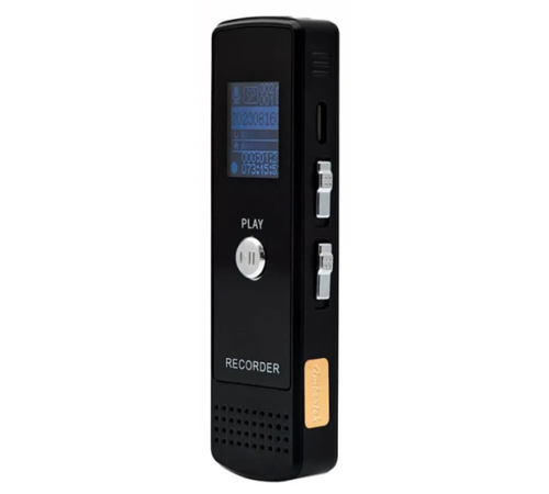 Цифровой диктофон VR250F 8GB